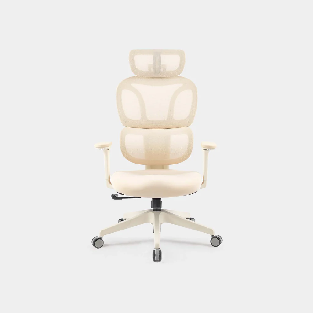 Elevate Your Workspace Comfort Today